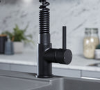 Charlotte Kitchen Tap Matt Black