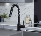 Charlotte Kitchen Tap Matt Black