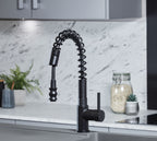 Charlotte Kitchen Tap Matt Black