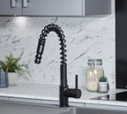 Charlotte Kitchen Tap Matt Black