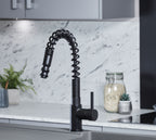 Charlotte Kitchen Tap Matt Black