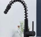 Charlotte Kitchen Tap Matt Black