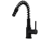 Charlotte Kitchen Tap Matt Black