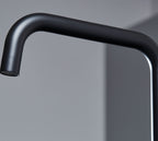 Geardine D Shape Kitchen Tap Matt Black