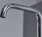 Geardine D Shape Kitchen Tap Chrome