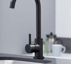 Geardine Kitchen Tap Matt Black