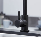 Geardine Kitchen Tap Matt Black