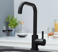 Geardine D Shape Kitchen Tap Matt Black