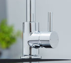 Geardine D Shape Kitchen Tap Chrome