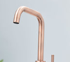 Geardine D Shape Kitchen Tap Copper