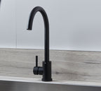 Geardine Kitchen Tap Matt Black