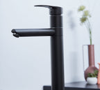 Ava Kitchen Tap Matt Black