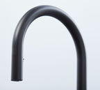 Austin Kitchen Tap Matt Black