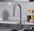 Platinum 4-in-1 Pull-Out: Swan Neck - Brushed Nickel
