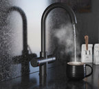 Quanta Chilled Swan 4-in-1 Boiling Tap Matt Black