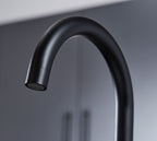 Isabella Kitchen Tap Matt Black