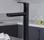 Ava Kitchen Tap Matt Black