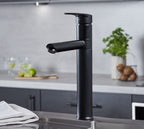 Ava Kitchen Tap Matt Black
