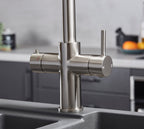 Astrum 3-in-1 Brushed Nickel